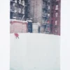 Unisex Peace for All T-shirt med grafisk tryk | Saul Leiter